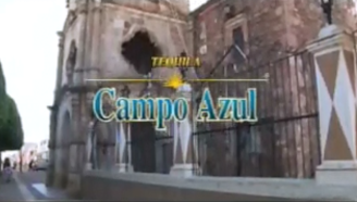 О производстве текилы Campo Azul (Кампу Азул)